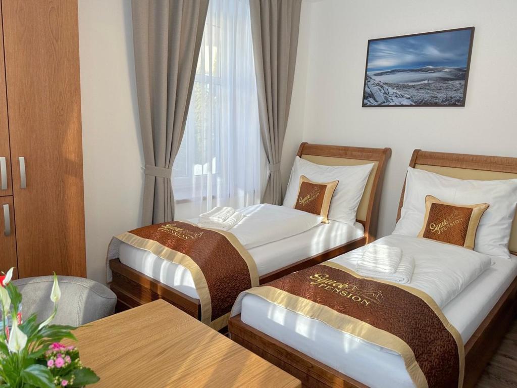 Synek Pension Špindlerŭv Mlýn Exterior foto